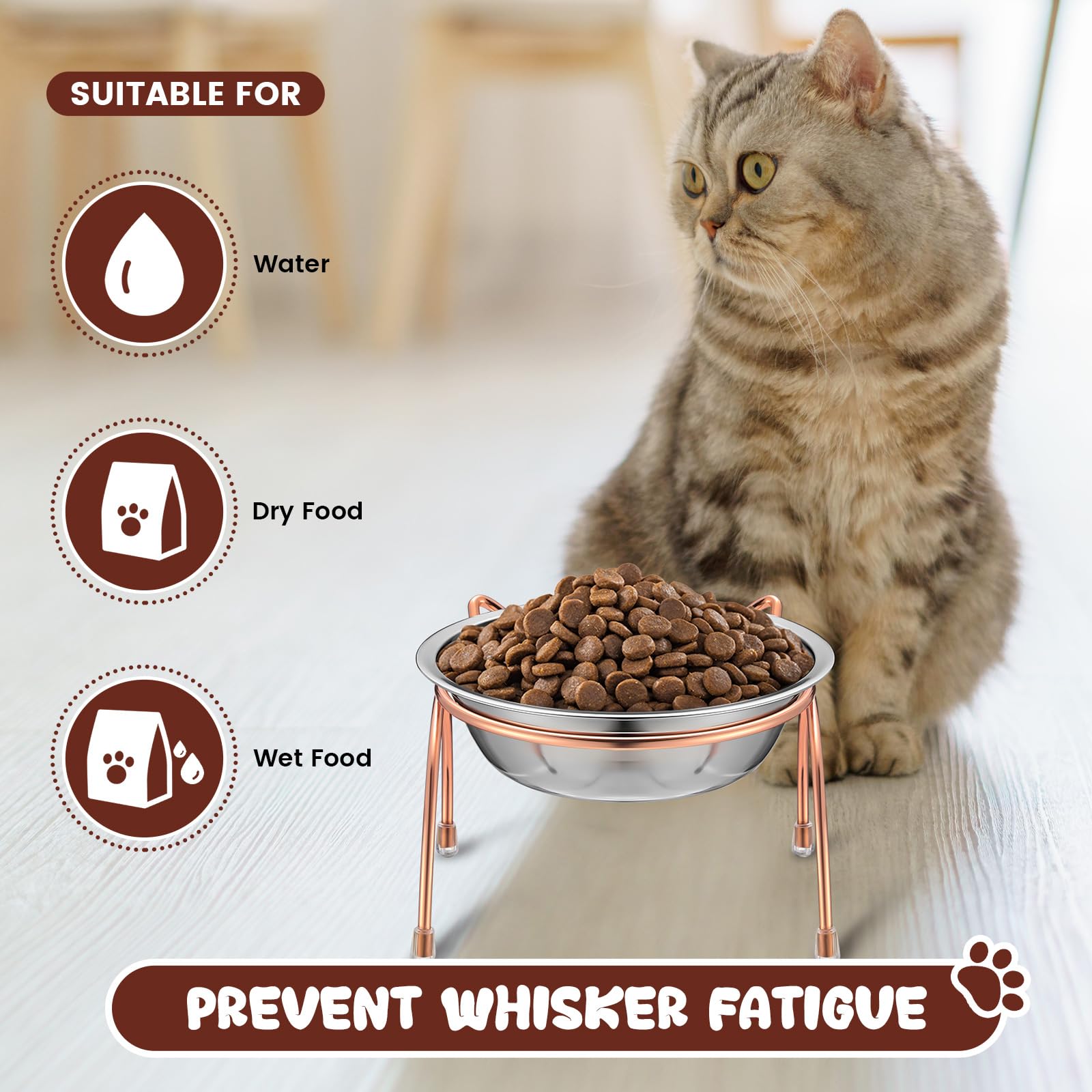 Yiyiring compact 12oz-capacity elevated bowls—ample food or water for indoor pets.