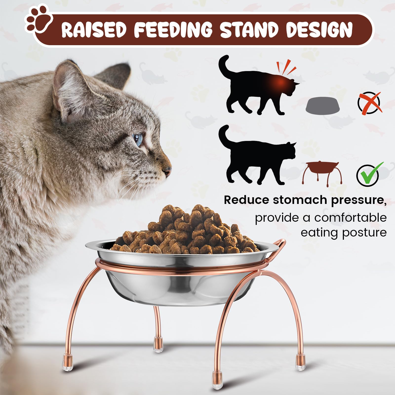 Yiyiring stainless-steel cat bowls stands—easy assembly and stable feeding.