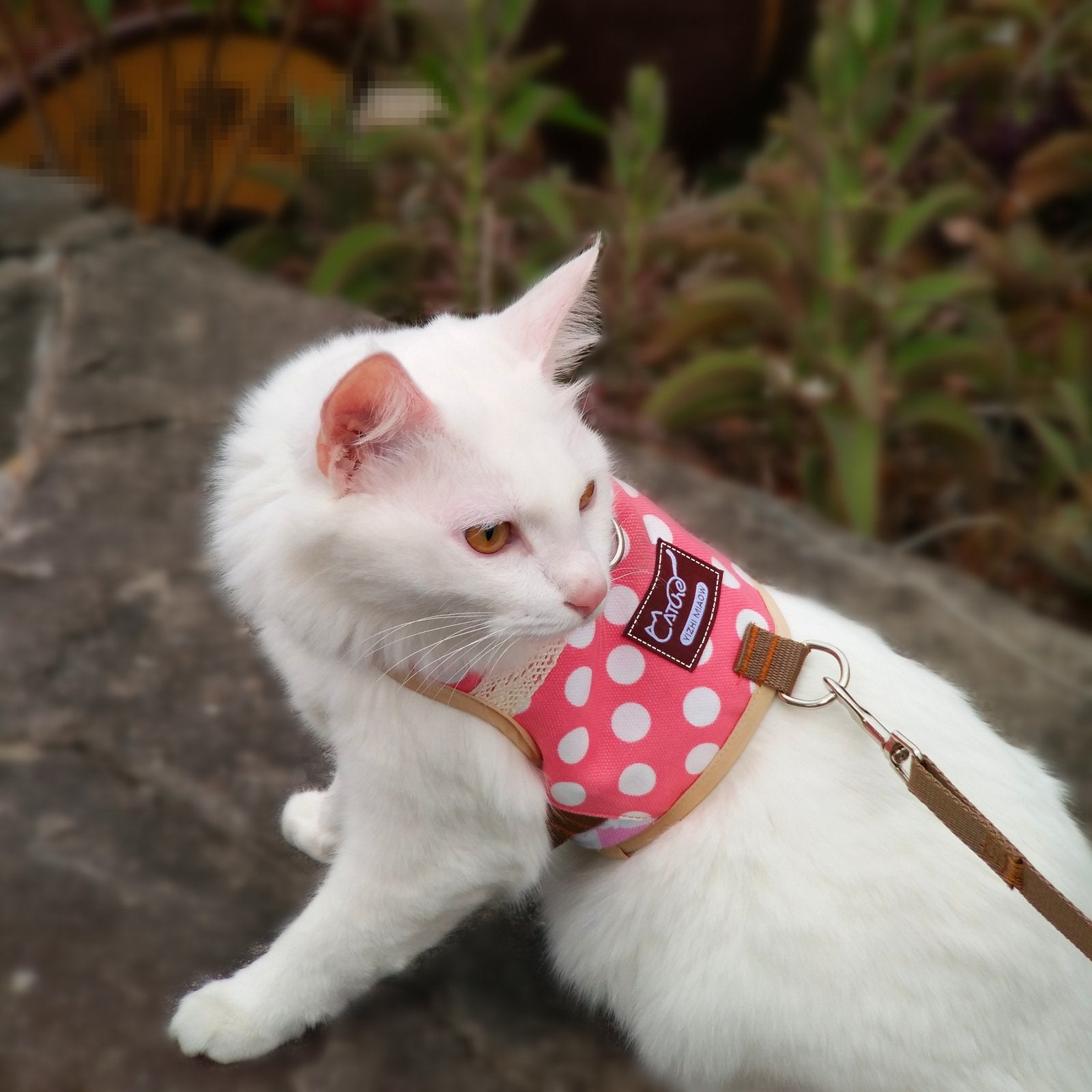 Arnés Yizhi Miaow gato acolchado, detalle suave y piel sensible
