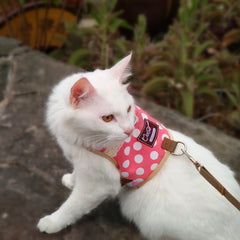 Arnés Yizhi Miaow gato acolchado, detalle suave y piel sensible