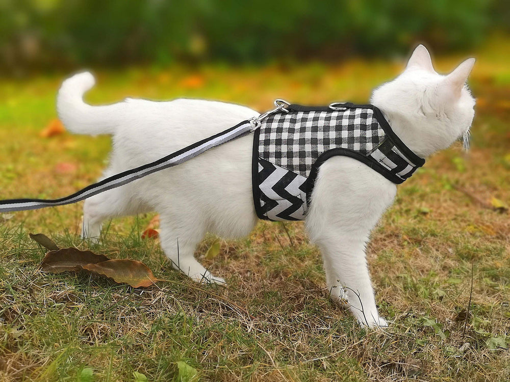 Arnés YIZHI MIAOW con forro acolchado para piel delicada.