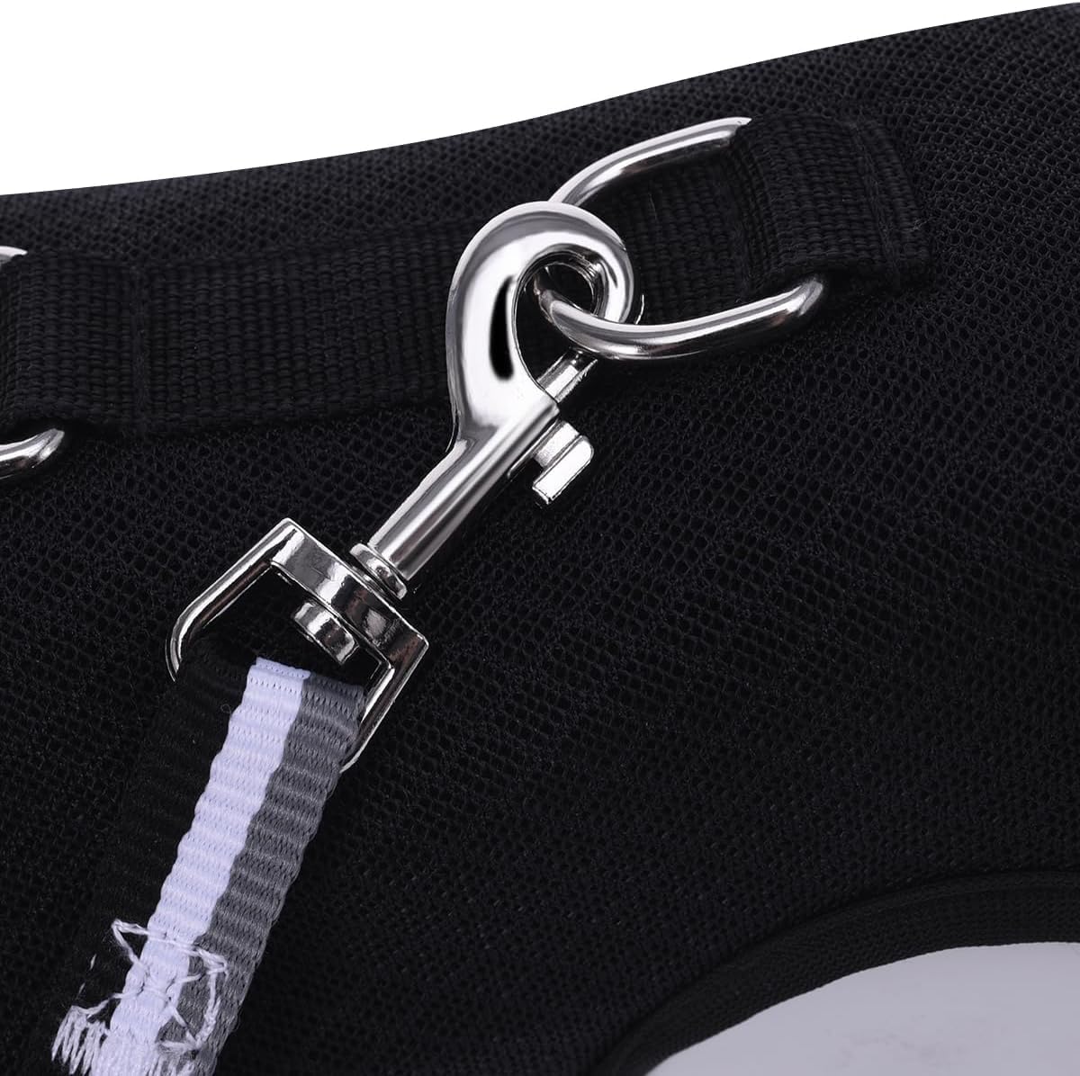 YIZHI MIAOW training guide included helps safe leash training and progress