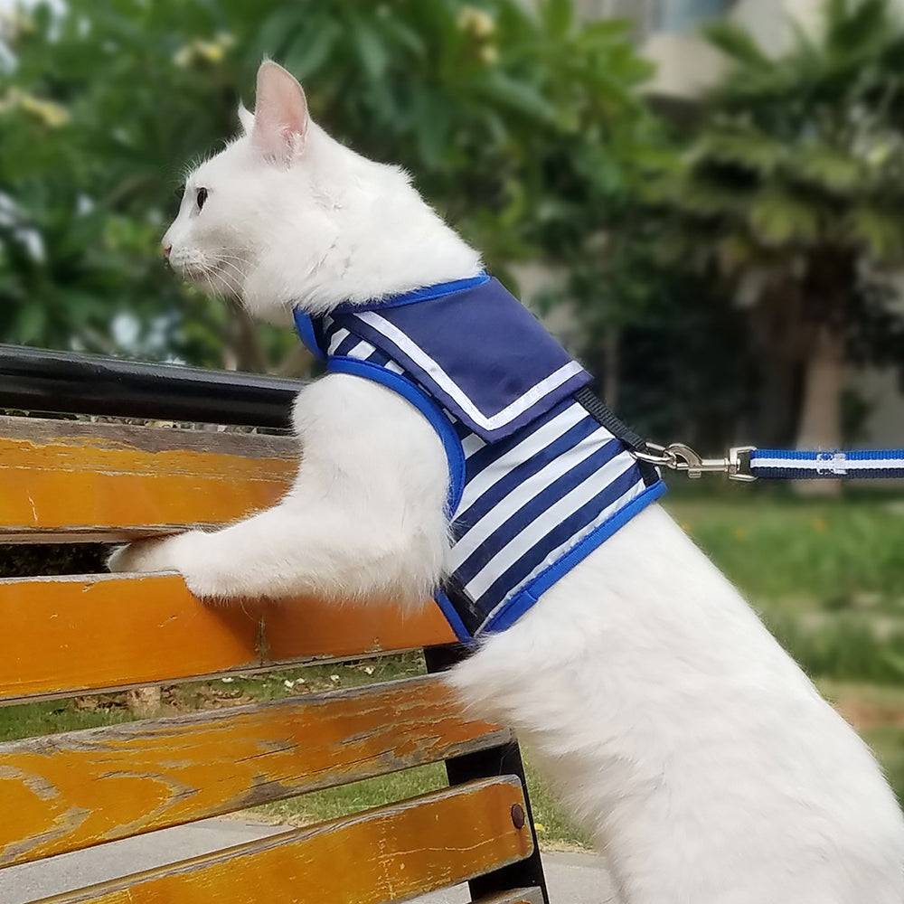 Yizhi Miaow cat-harness padded-shoulder-detail highlights soft padding for delicate skin comfort.