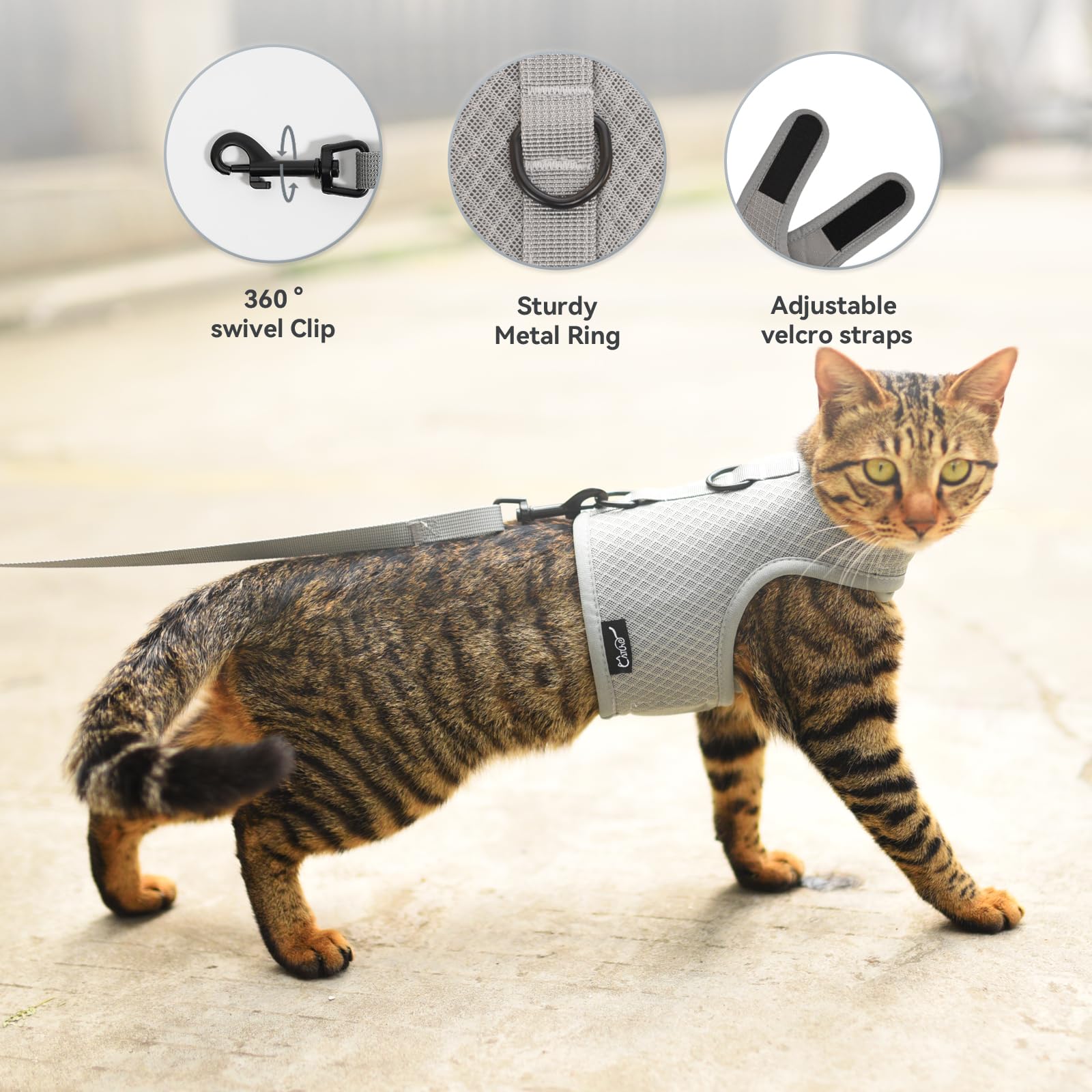YIZHI MIAOW training leash included for controlled practice.