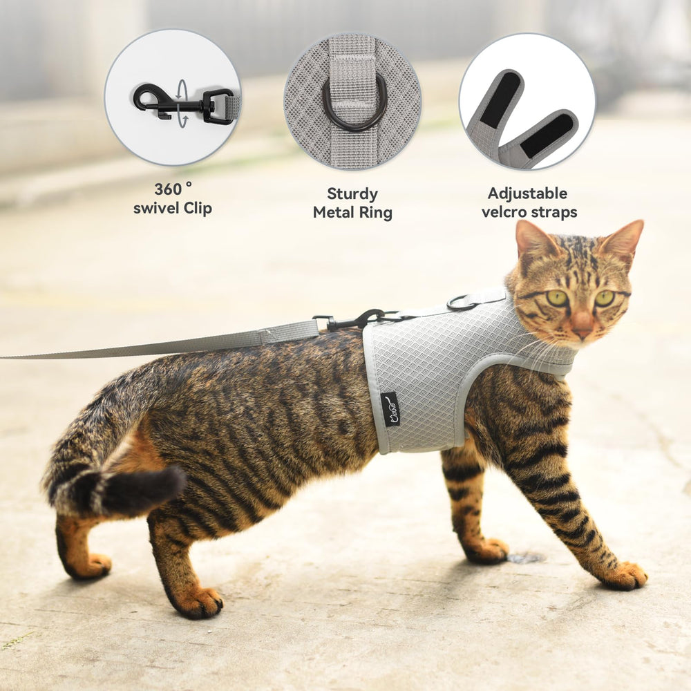 YIZHI MIAOW training leash included for controlled practice.