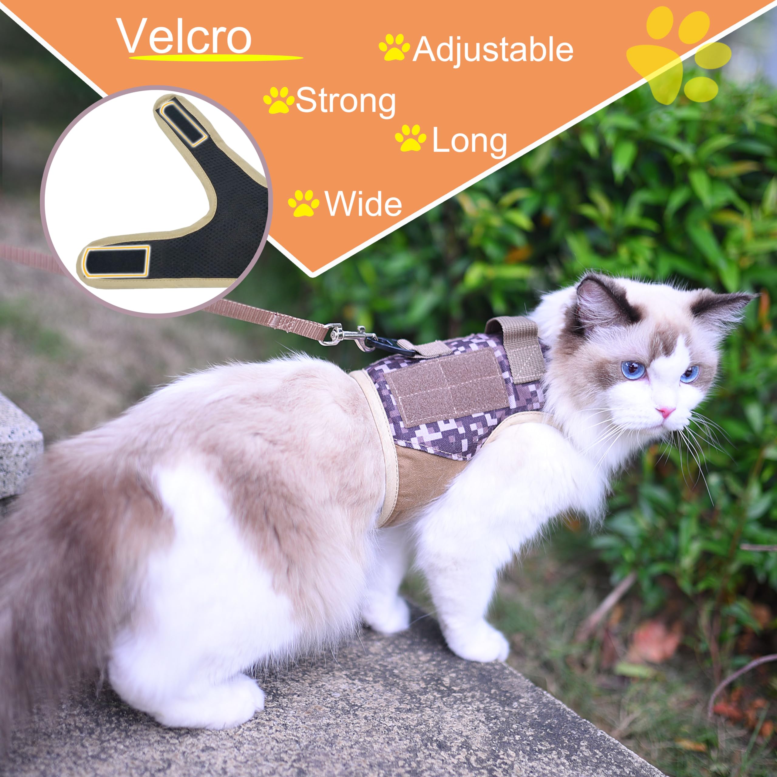 YIZHI MIAOW cat walking outdoor setup showing harness in action.