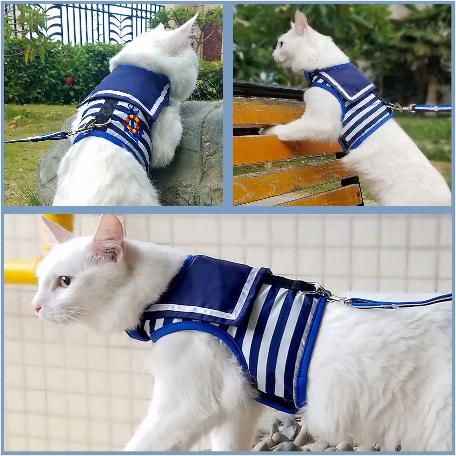 Yizhi Miaow cat-walking-video-preview conveys practical tips via Amazon training videos.