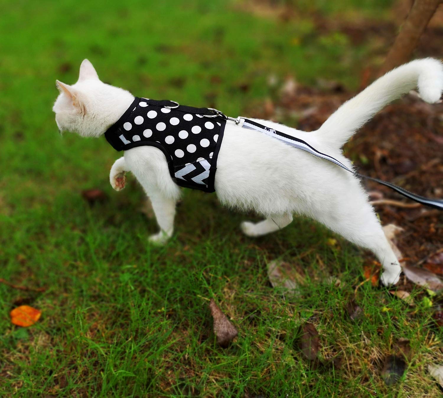 YIZHI MIAOW escape-proof-closure showing secure fastener for harness security