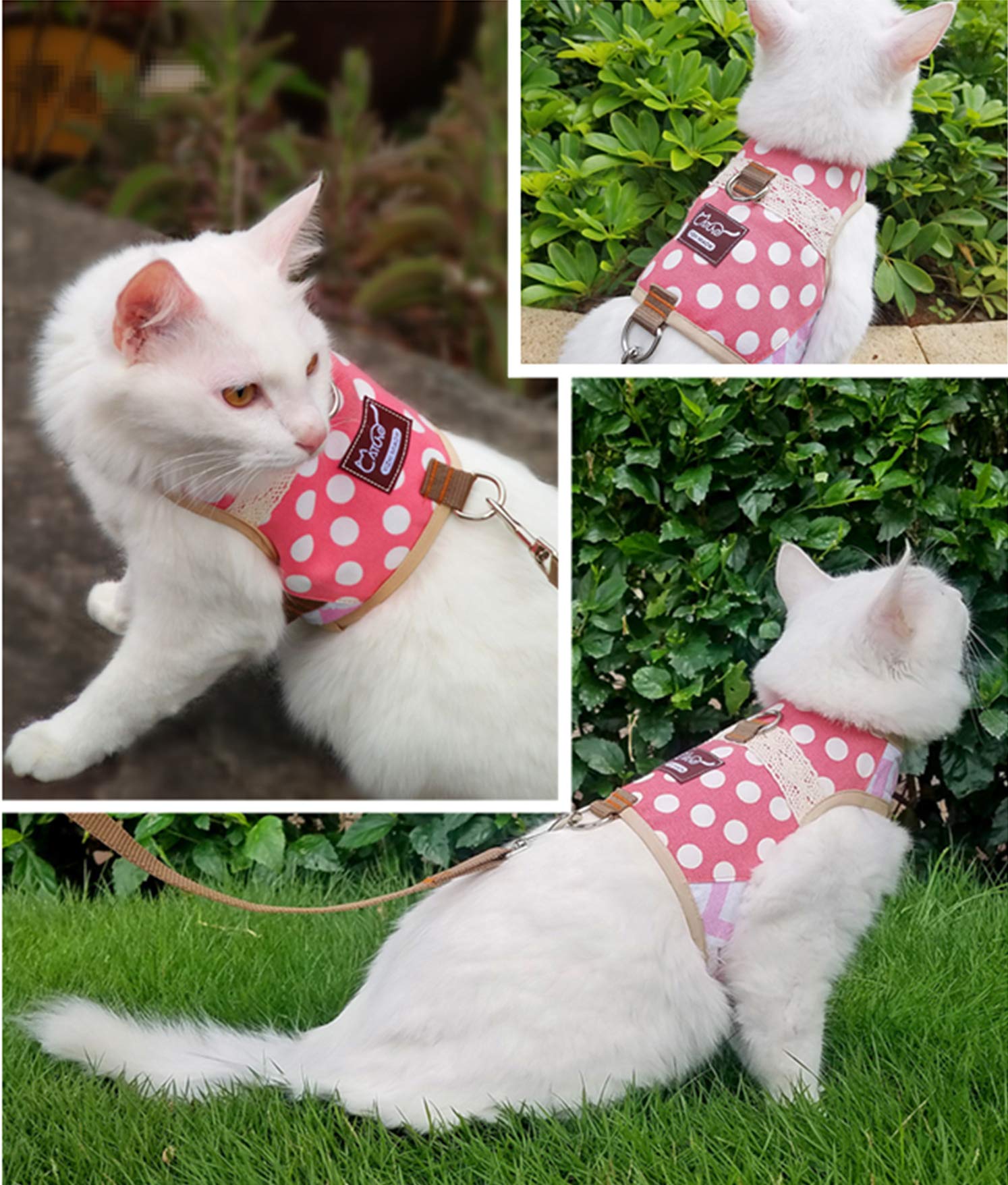 Kit de entrenamiento Yizhi Miaow, arnés para gato y guía de uso