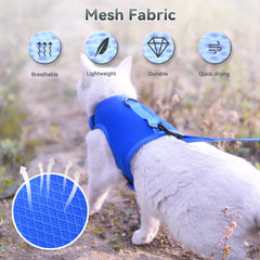 YIZHI MIAOW leash training clip demonstrates secure attachment for controlled indoor or outdoor sessions.