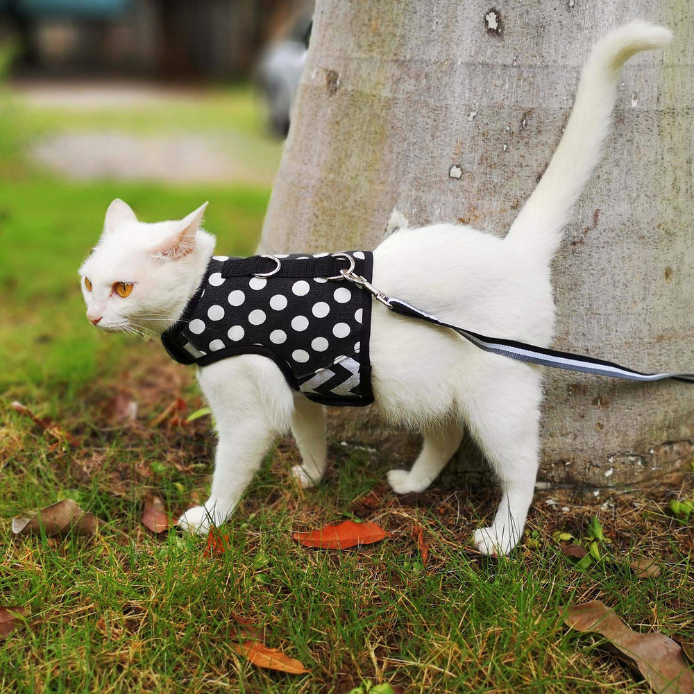 YIZHI MIAOW lightweight-cat-harness designed for daily, unobtrusive wear