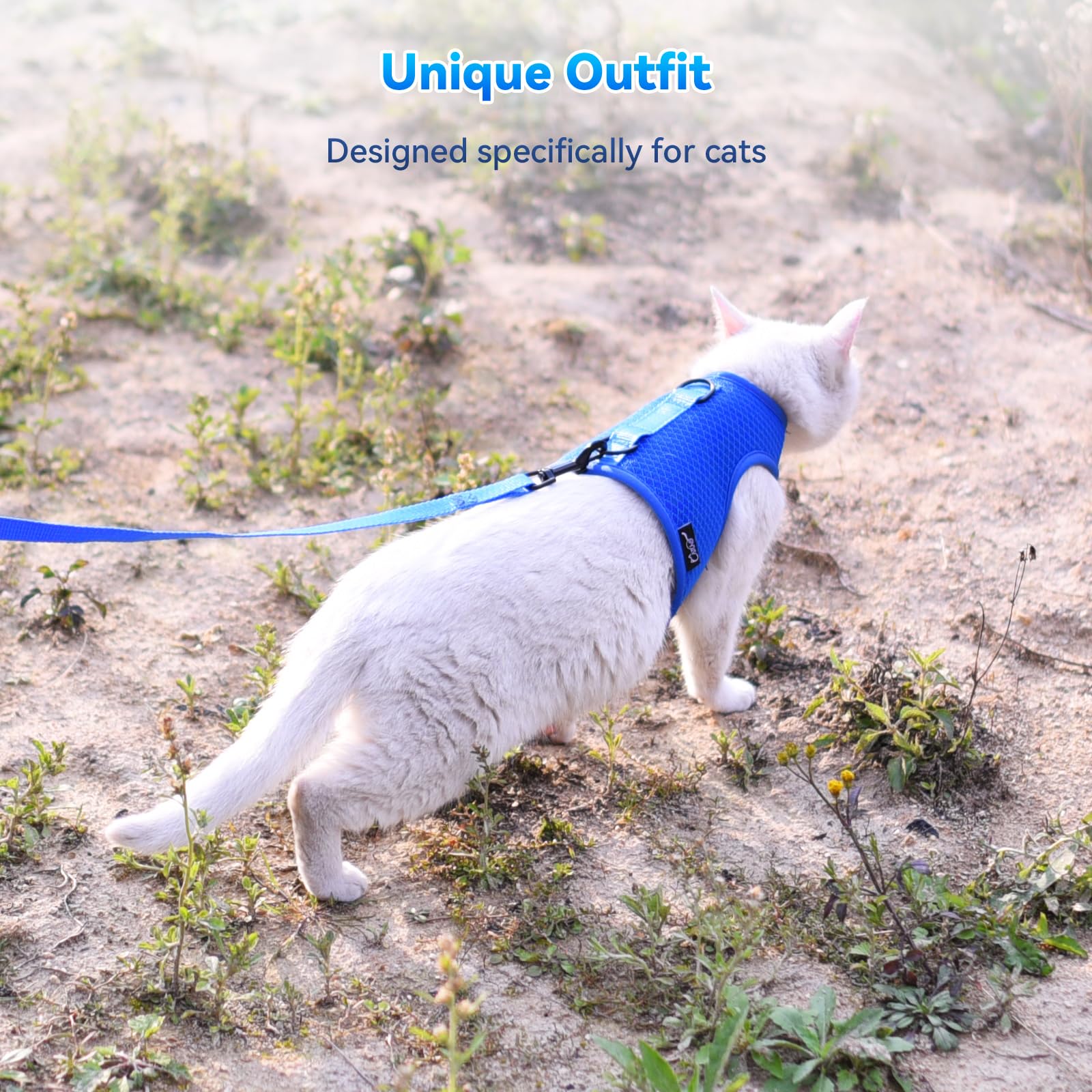 YIZHI MIAOW outdoor-walk demonstration captures a confident cat wearing the vest during a sunny stroll.