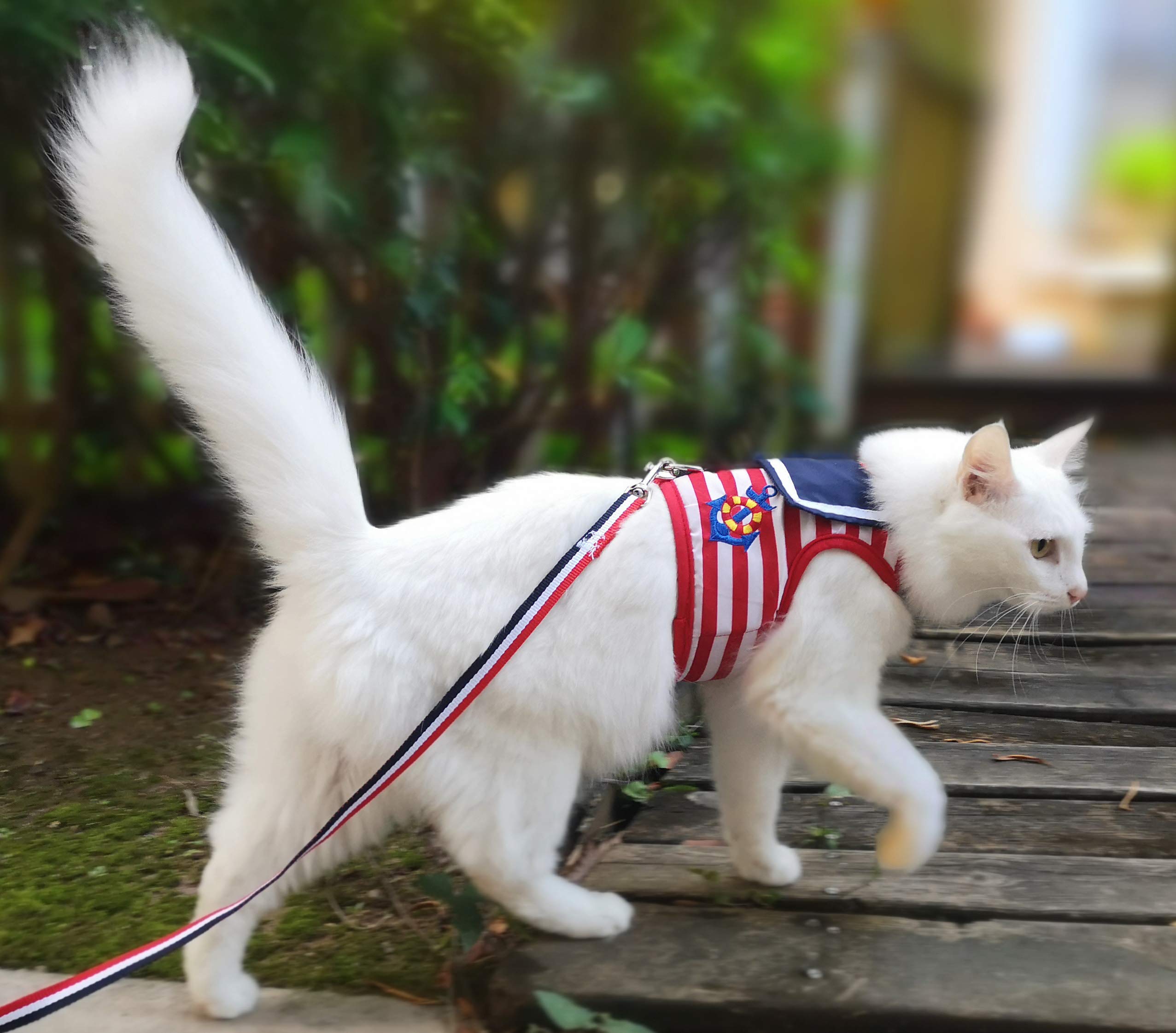 Yizhi Miaow size-chart measurement guide helps find the right fit.