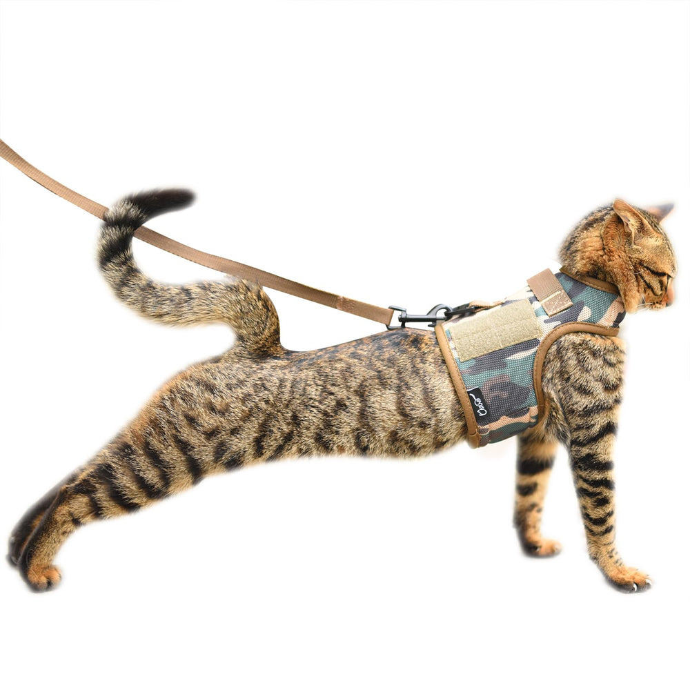 YIZHI MIAOW tactical cat harness escape-proof design for secure outdoor walks