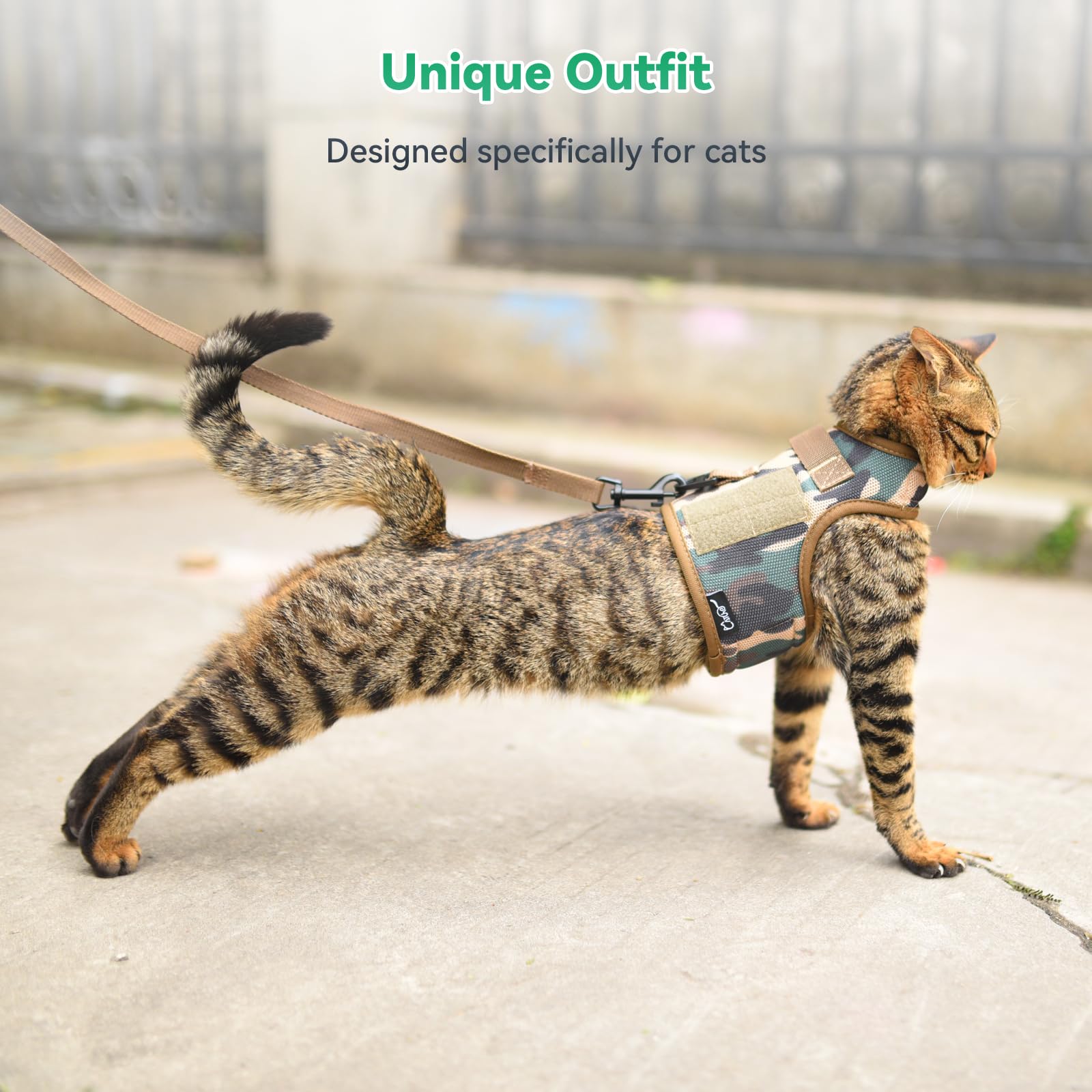 YIZHI MIAOW training guidelines support safe leash training sessions