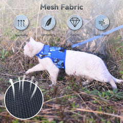 YIZHI MIAOW training leash ocean camo extended for control.