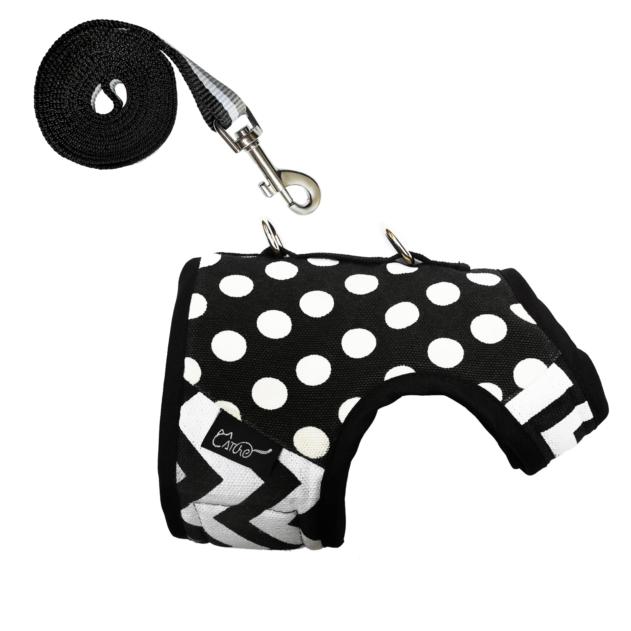 YIZHI MIAOW training-videos-guide with setup tips for leash training