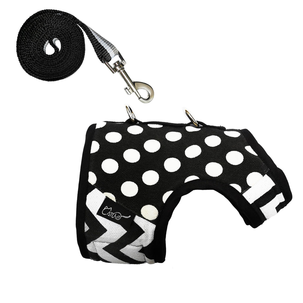 YIZHI MIAOW training-videos-guide with setup tips for leash training