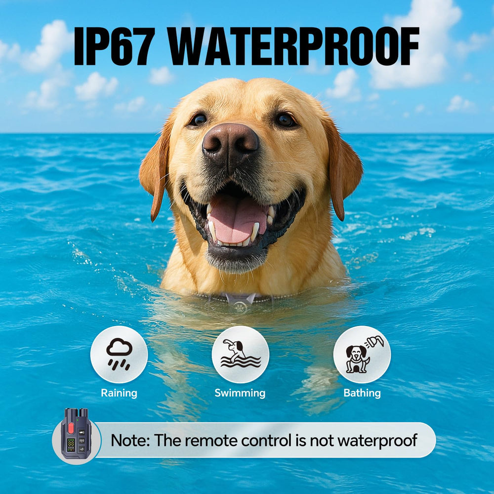 YJWFHPU dog shock collar backlit display aids training at night.