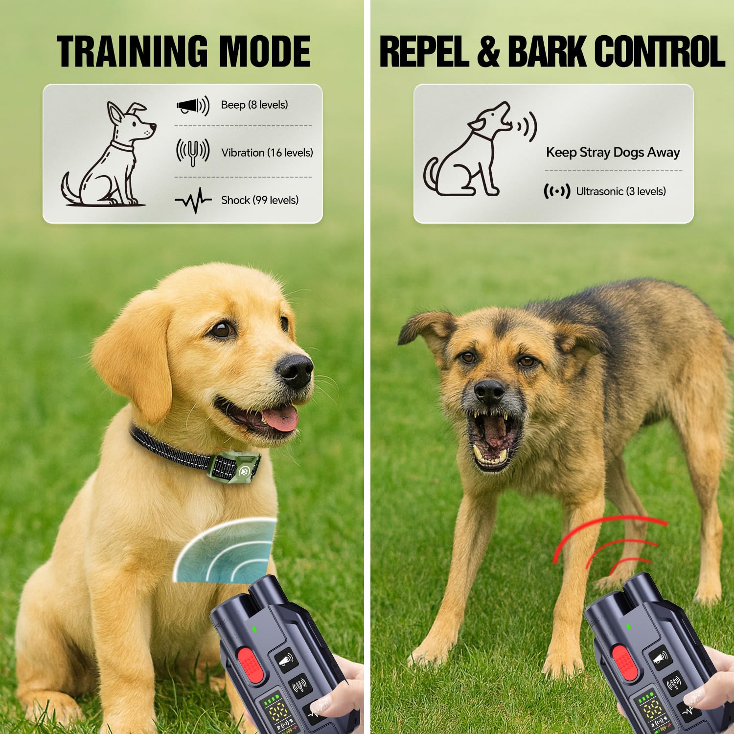 YJWFHPU dog shock collar on dog during park walk demonstrates comfortable outdoor training.