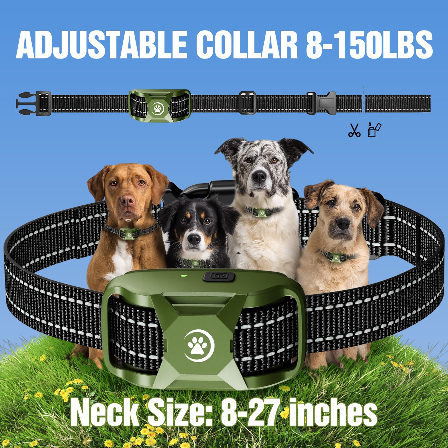 YJWFHPU dog-training action in a park demonstrates versatility and control.