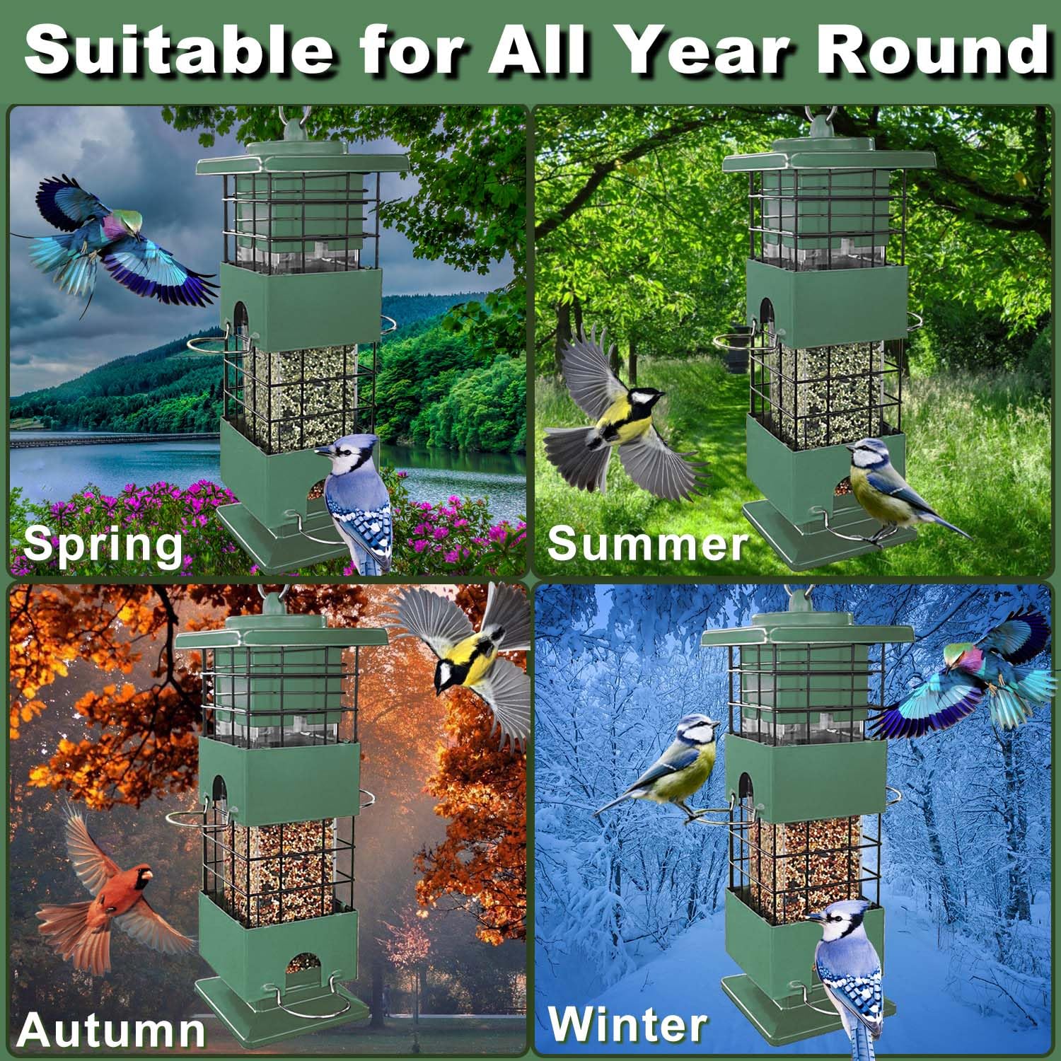 YLTIMER bird feeder attracts cardinals and other birds in green garden