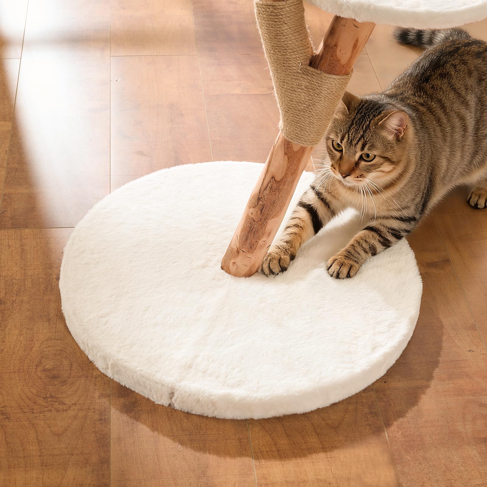 YOCAN cat tree in living room illustrating suitable indoor cat furniture placement