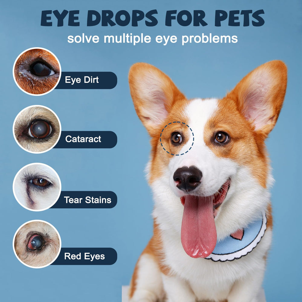 Yocisku cataract drops easy-application dropper enabling quick daily relief.