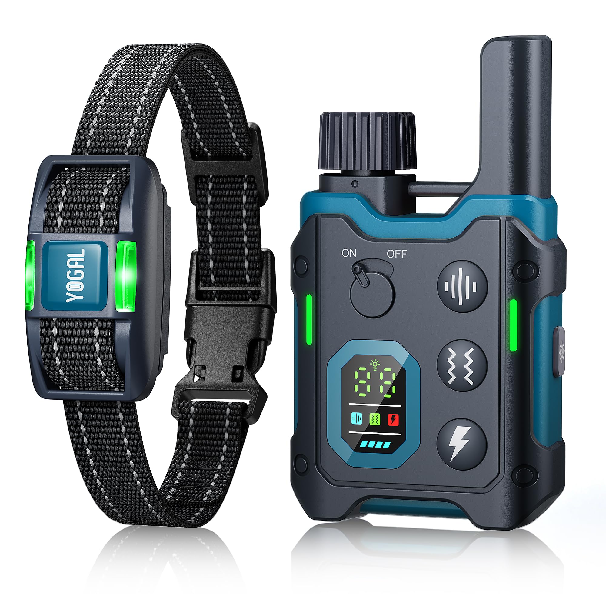 YOGAL dog collar blue on dog for calm training sessions