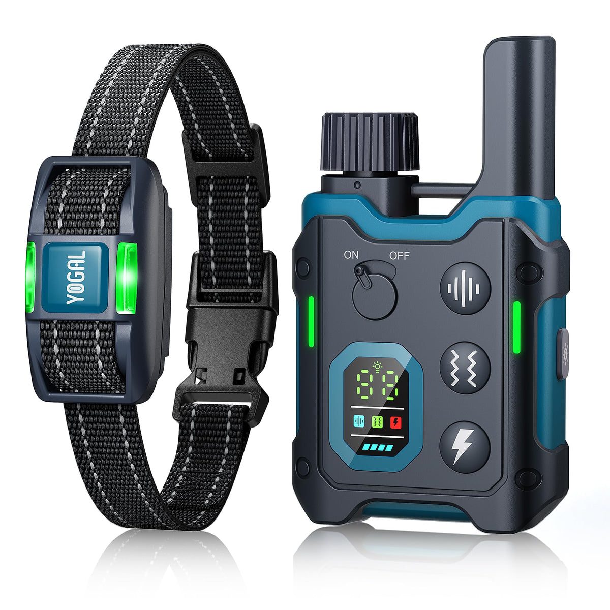 YOGAL dog collar blue on dog for calm training sessions