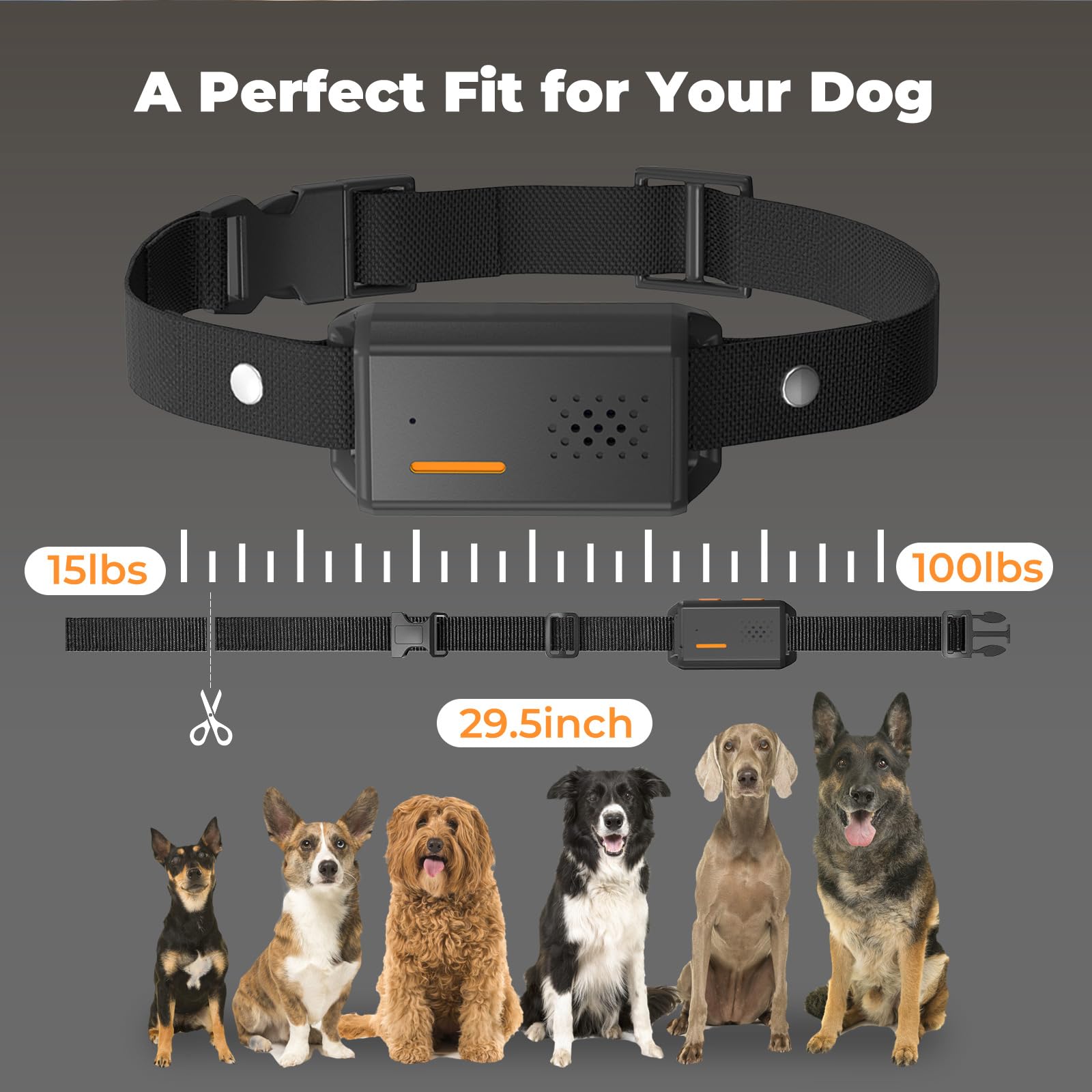 YOGAL neck-size-adjustable dog collar fits 8 to 30 inches.