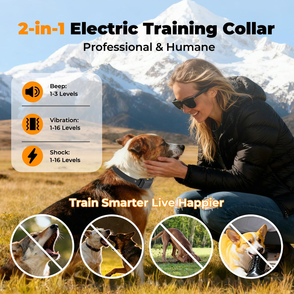 YOGAL remote control for dog collar ready for multi-dog training sessions.