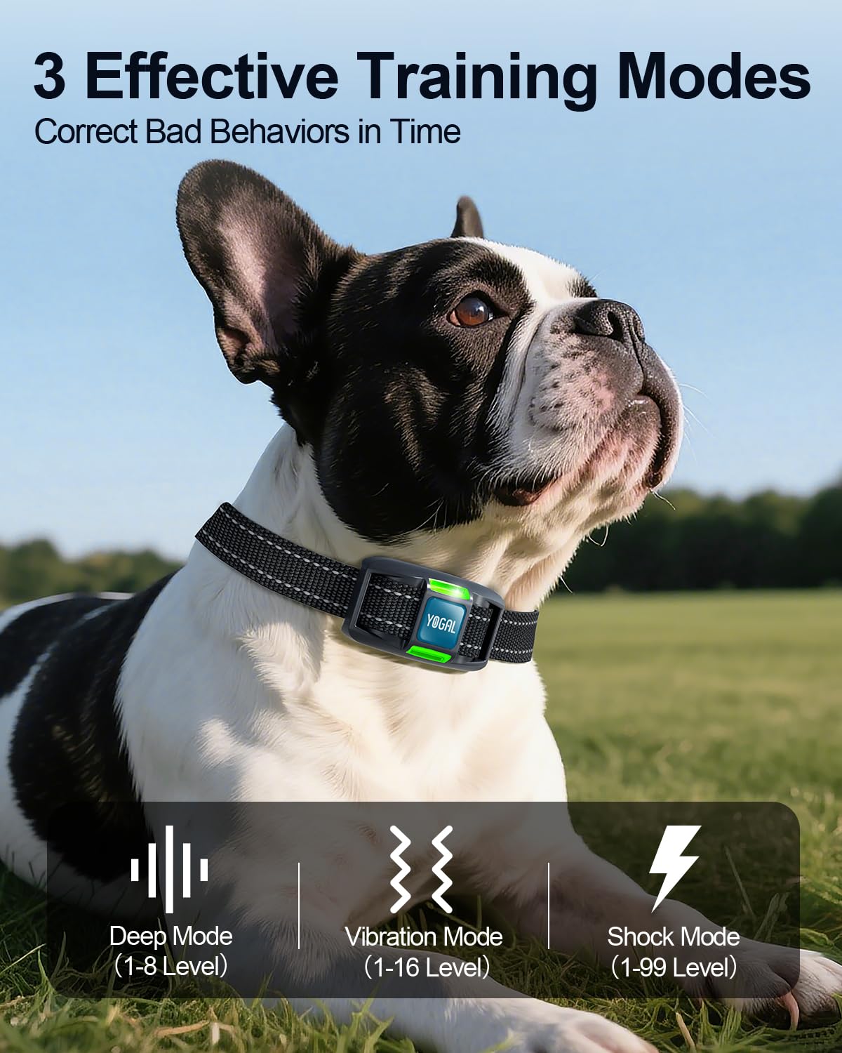 YOGAL remote with dual channel for training two dogs