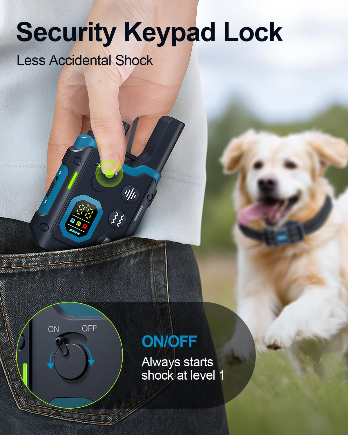 YOGAL training outdoors in yard or park