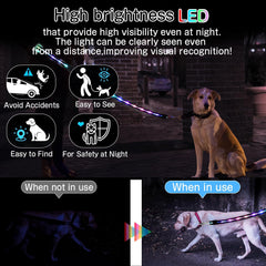 Yoheueoa USB-C rechargeable leash offers long-lasting light for camping and night hikes.