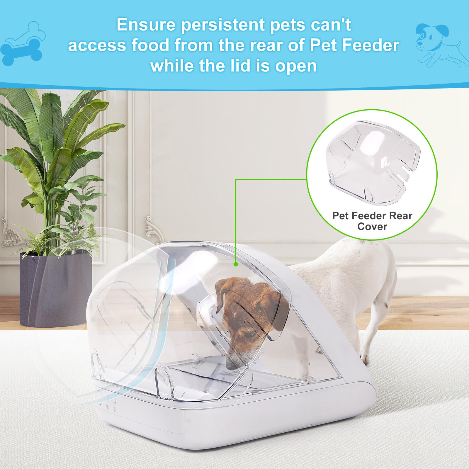 YOIHABV pet-mealtime with multiple cats visualizes reduced food stealing.