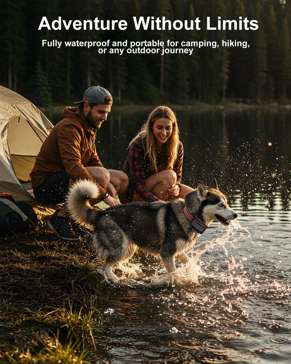 Yolesty two-dogs-capable system enables sharing boundary control.