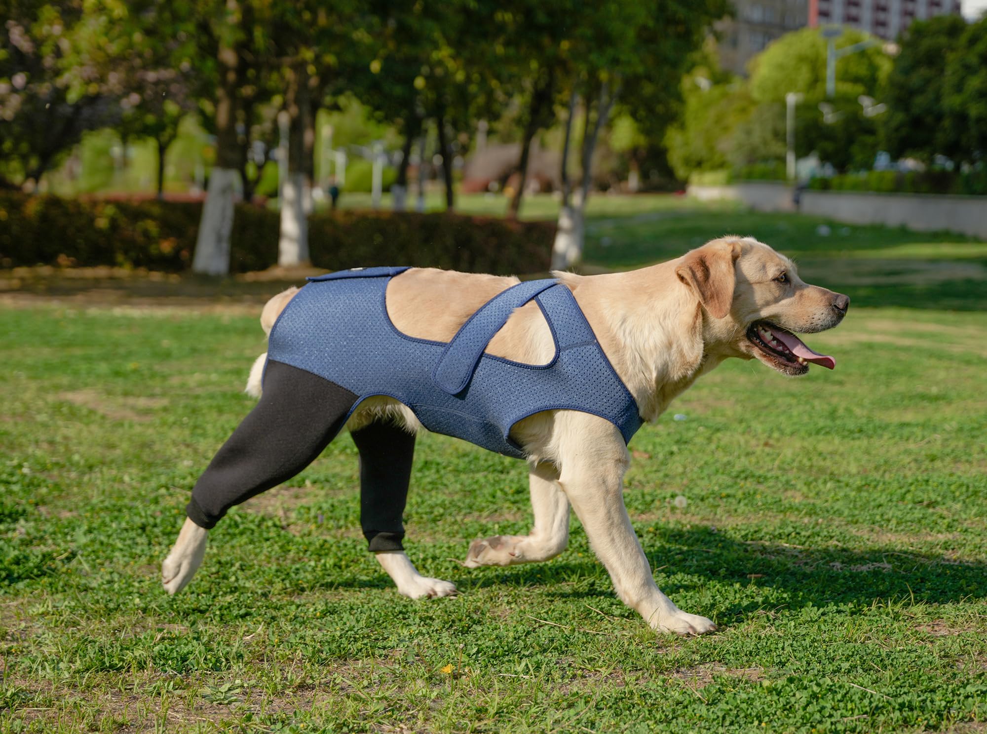 Yoneba dog recovery sleeve easy-to-wear design stays comfortable while moving.
