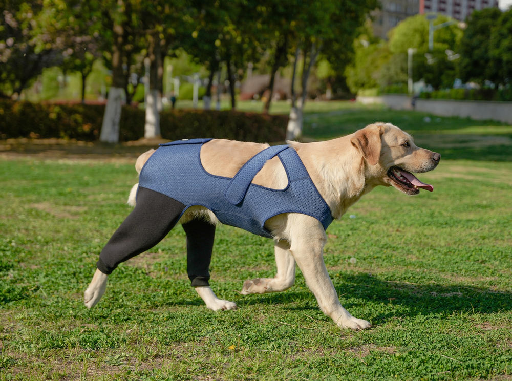 Yoneba dog recovery sleeve easy-to-wear design stays comfortable while moving.