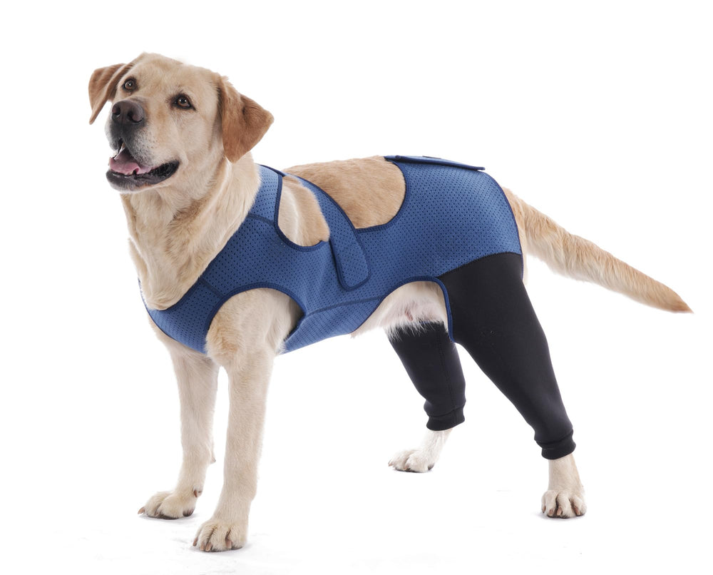 Yoneba dog recovery sleeve rear leg protects wounds and reduces licking.