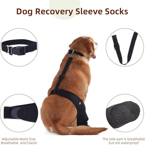 Yoneba secure-fit paw socks stay on during activity