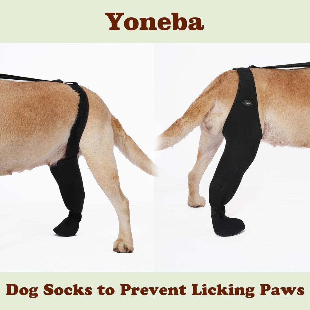 Yoneba available sizes including XL-Right for a comfortable fit
