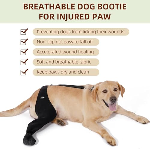 Yoneba paw-protectors prevent licking and scratching for healthier-looking skin