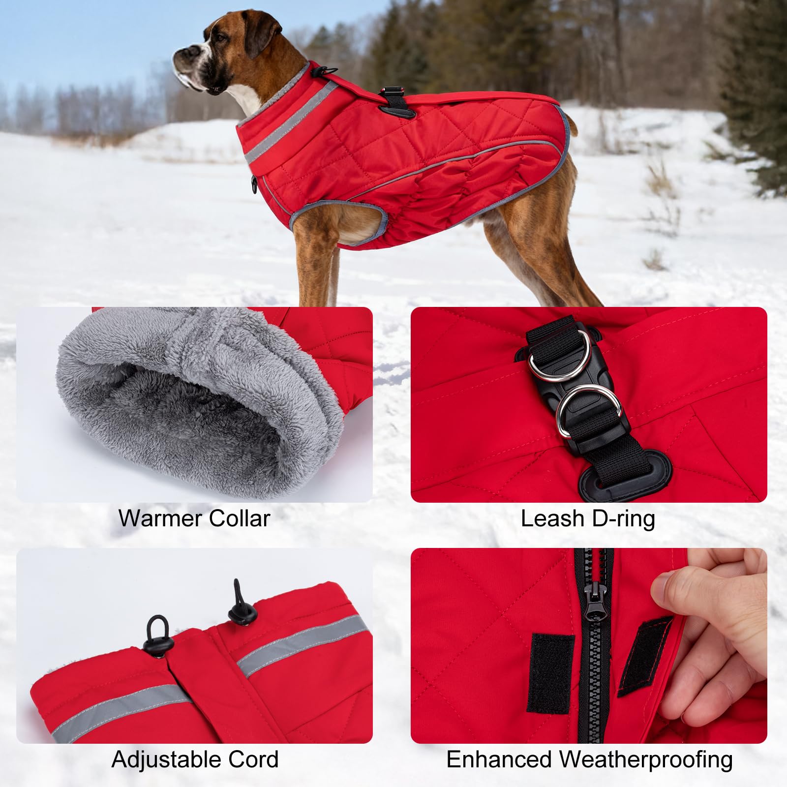 Yoochee dog coat with built-in harness simplifies leash attachment during walks.