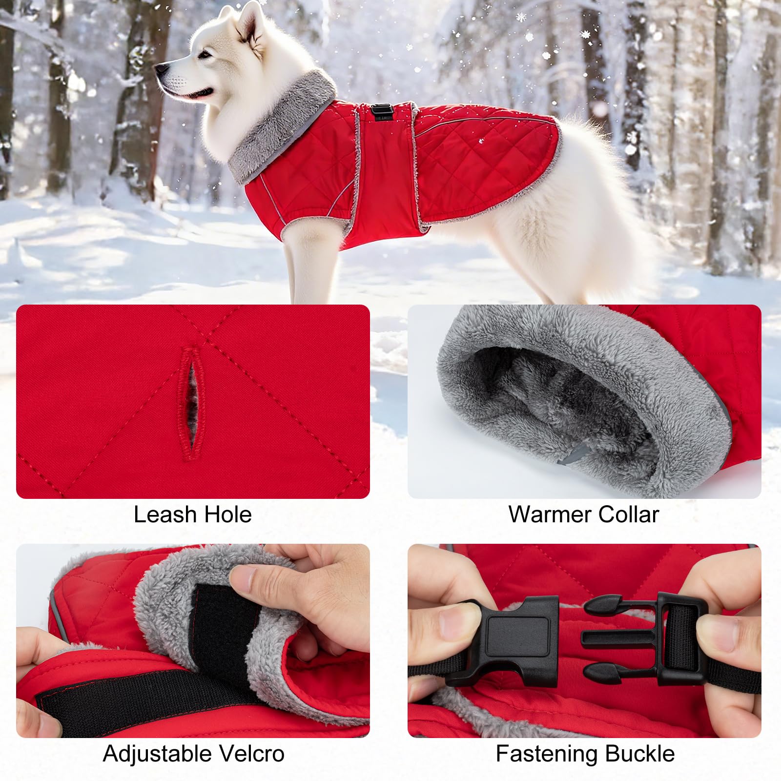 Yoochee dog coat reflective strips and leash hole boost nighttime visibility