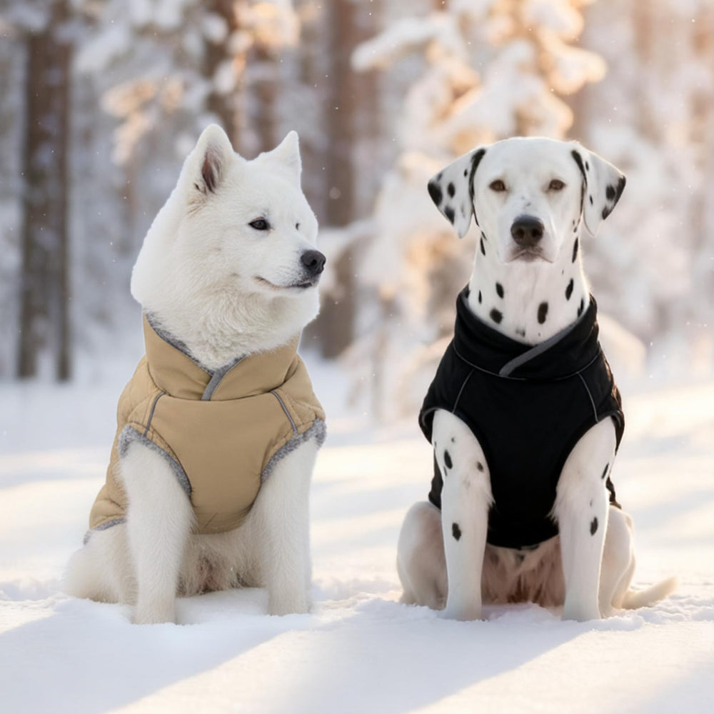 Yoochee dog coat size chart helps you pick the right fit