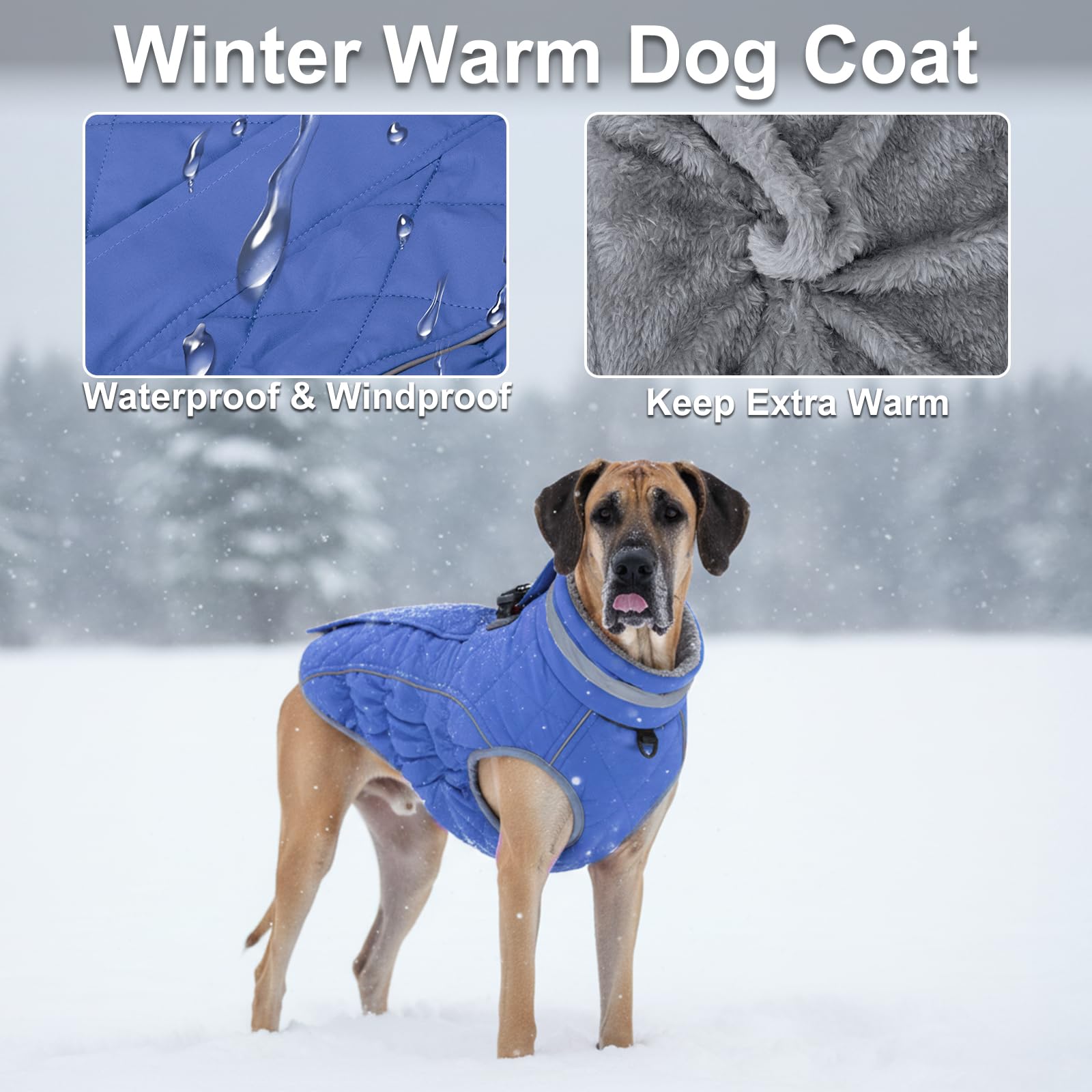 Yoochee dog coat waterproof fabric closeup demonstrates dry fur during rain.