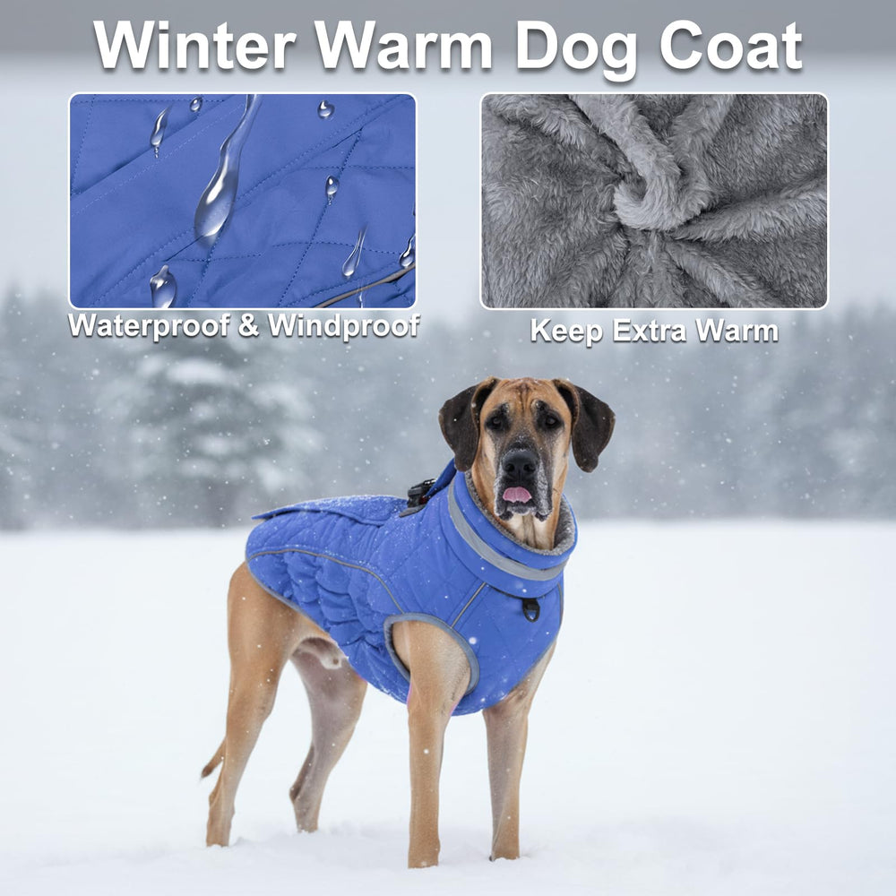 Yoochee dog coat waterproof fabric closeup demonstrates dry fur during rain.