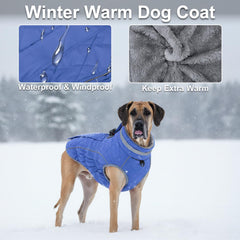 Yoochee dog coat waterproof fabric closeup demonstrates dry fur during rain.