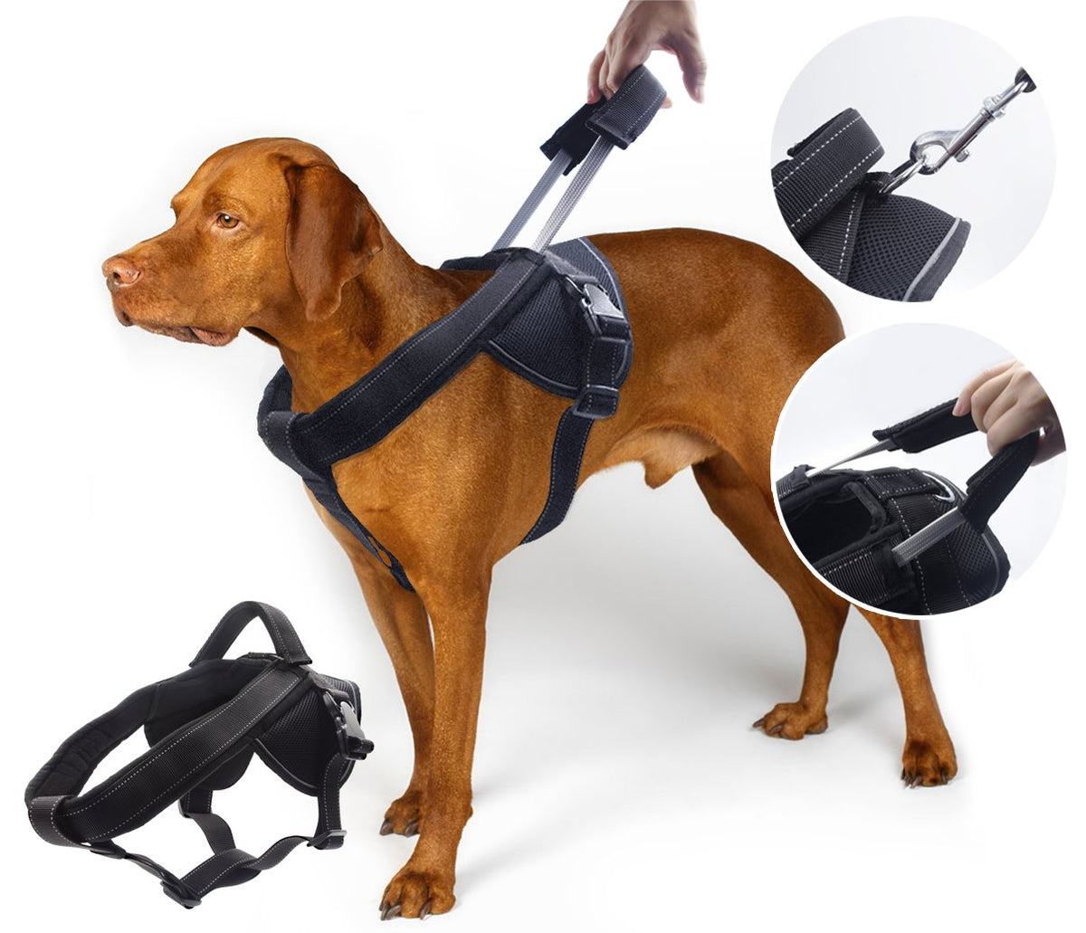 YOOGAO Pet Heavy Duty Harness with front chest strap for safer, controlled walks